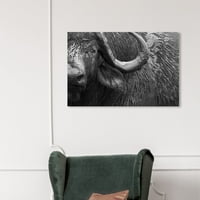 A Wynwood Studio Animals Wall Art vászon nyomatok 'Buffalo' Állatkert és vadállatok - szürke, szürke